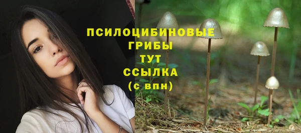 дмт Армянск