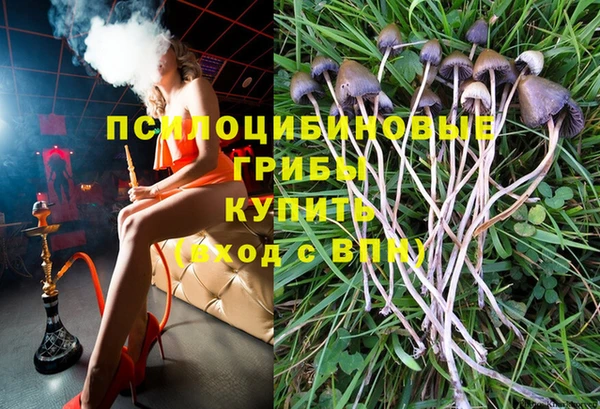 ПСИЛОЦИБИНОВЫЕ ГРИБЫ Саяногорск